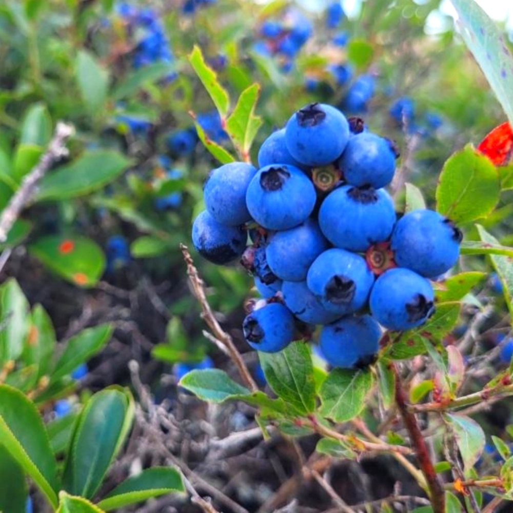 Offers welcome!! 😊